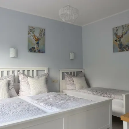 Apartments Obdach شقة *